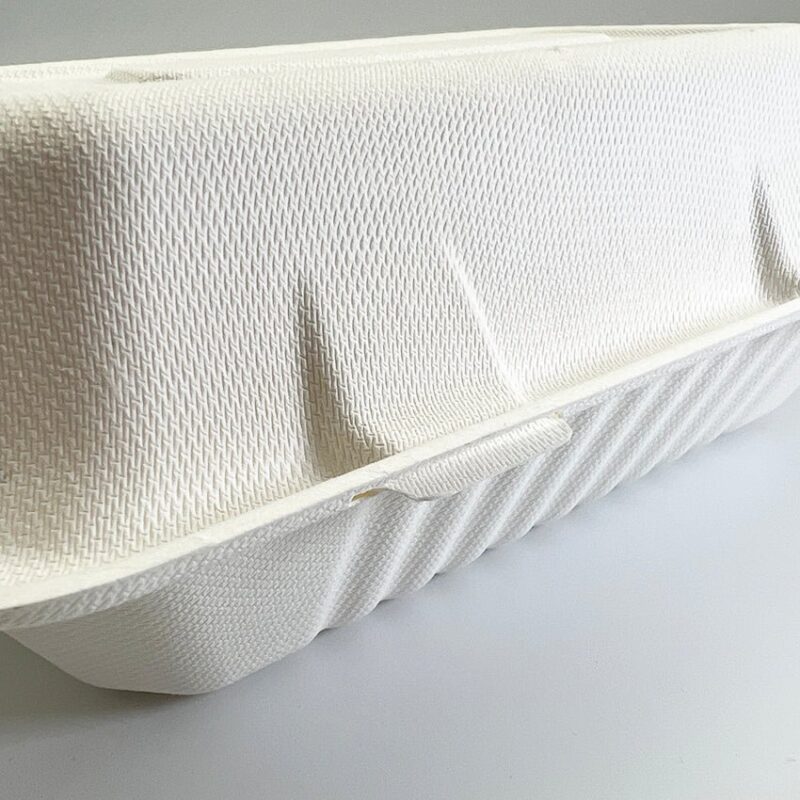 Sugarcane Snack Box
